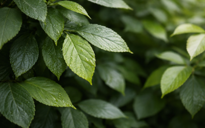Company Drills First U.S. Wildcatter Geologic Hydrogen Well in Nebraska