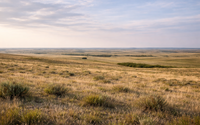 Portfolio Expansion Across Midcontinent Basins